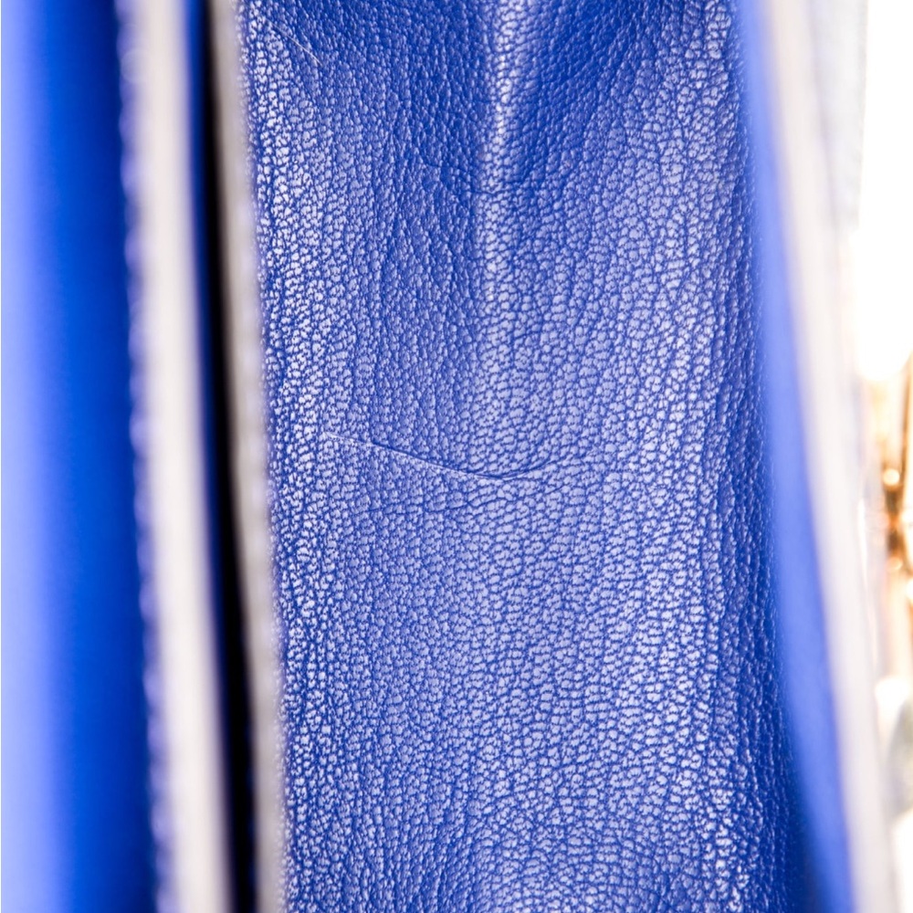 Louis Vuitton Python Twist Bag - Picture 5 of 5